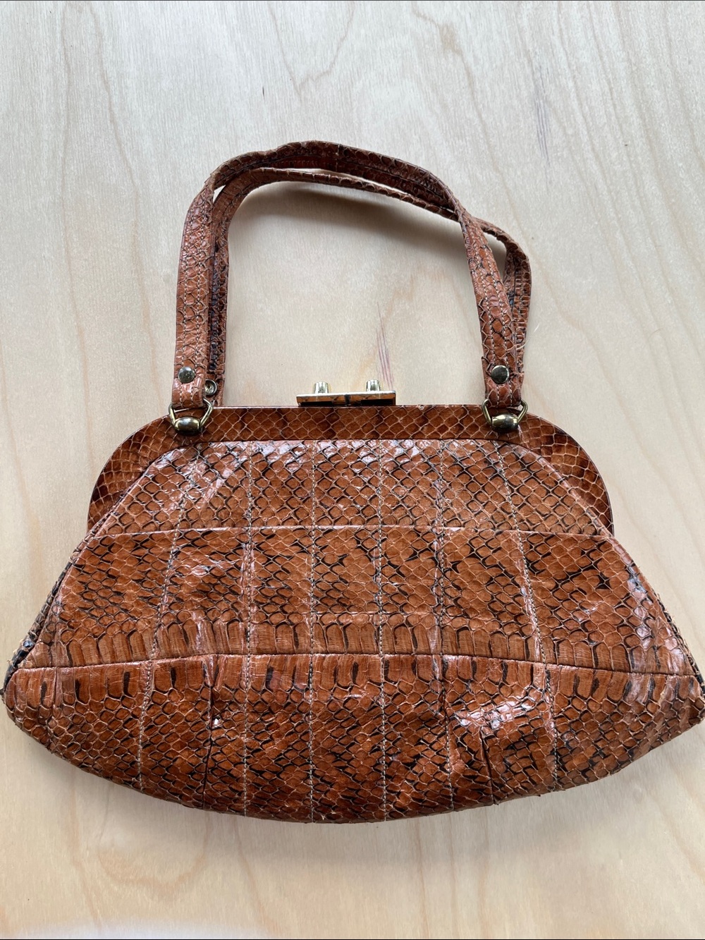 Vintage Snake Skin Leather Bag